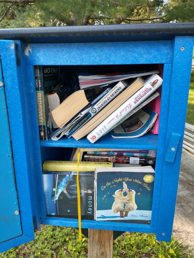 The Little Free Library at Elan Park. Rules of Civility by Amor Towles is on the top shelf.