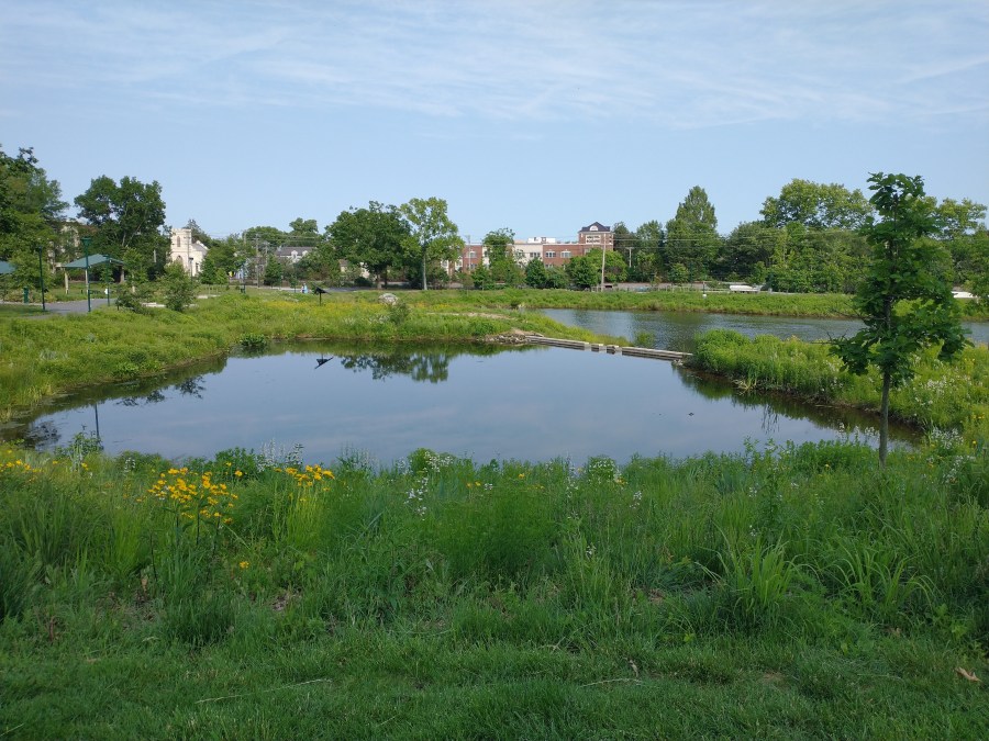 The stormwater retention pond at Hillside Park.
