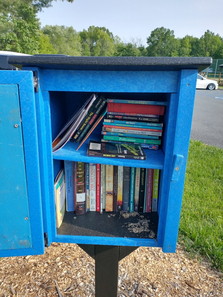 The Little Free Library at Leroy C. Hill Park. Pollyanna and some R.L. Stine books are on the top shelf. A cluster of ants is on the bottom shelf.